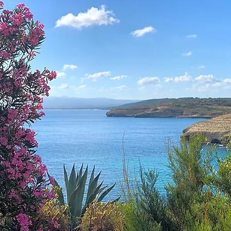 I Colori Dell'isola Panzió